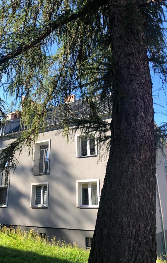 Apartament W Stroniu Stronie Śląskie Εξωτερικό φωτογραφία